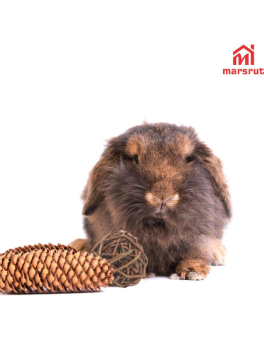 9 Bolas de Mimbre Natural para Mascotas - Juguetes de Masticar