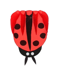 Cometa Colorida Mariquita con Mango y Cuerda 170x140cm