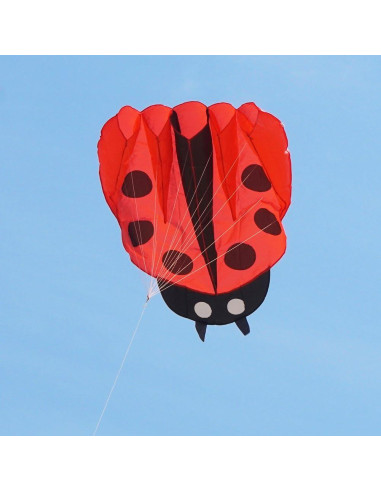 Cometa Colorida Mariquita con Mango y Cuerda 170x140cm