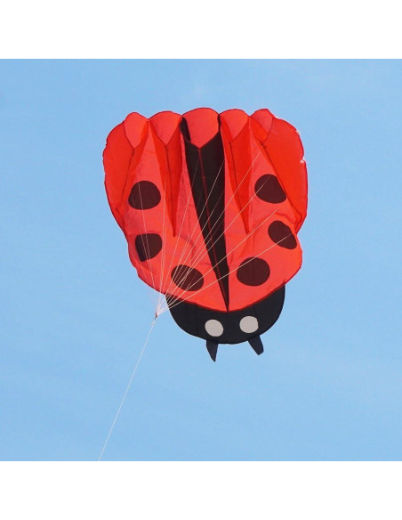 Cometa Colorida Mariquita con Mango y Cuerda 170x140cm