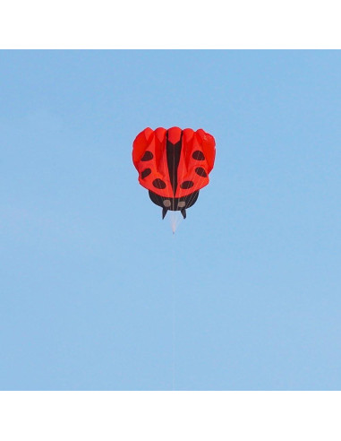 Cometa Colorida Mariquita con Mango y Cuerda 170x140cm