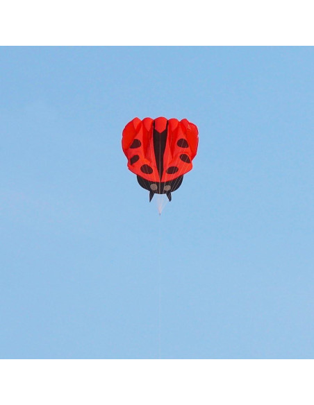 Cometa Colorida Mariquita con Mango y Cuerda 170x140cm