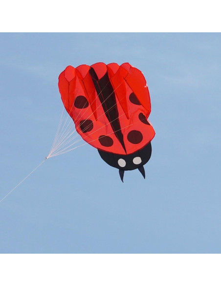 Cometa Colorida Mariquita con Mango y Cuerda 170x140cm