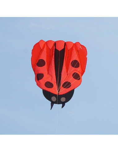 Cometa Colorida Mariquita con Mango y Cuerda 170x140cm