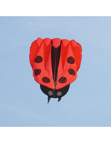 Cometa Colorida Mariquita con Mango y Cuerda 170x140cm