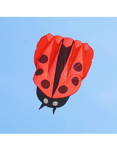 Cometa Colorida Mariquita con Mango y Cuerda 170x140cm