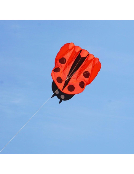 Cometa Colorida Mariquita con Mango y Cuerda 170x140cm