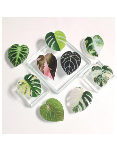 Soporte para teléfono móvil colapsable OnTheGrip Gloriosum