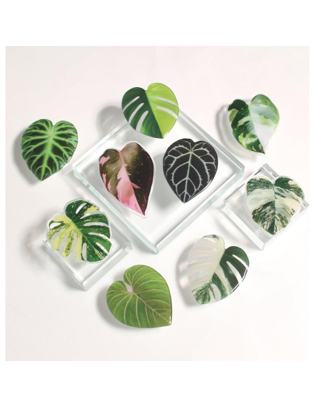 Soporte para teléfono móvil colapsable OnTheGrip Gloriosum Soporte para teléfono móvil colapsable OnTheGrip Gloriosum