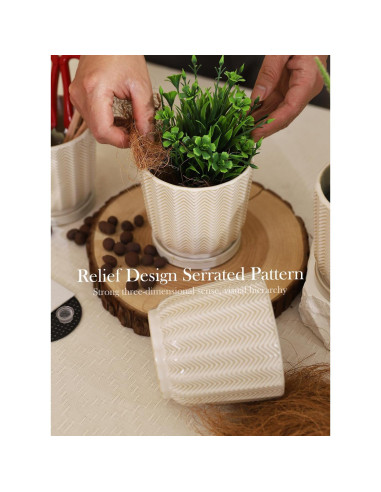 Set de 4 Macetas de Cerámica OMAYKEY 11.4 cm con Plato