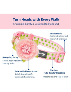 Collar para Perro Blueberry Pet Rosa Bebé Ajustable 30-40 cm 2