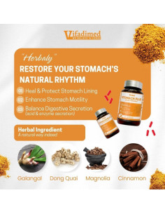Suplemento Herbal Estomacal Vifadimed Stomach Plus 45 Cápsulas 2