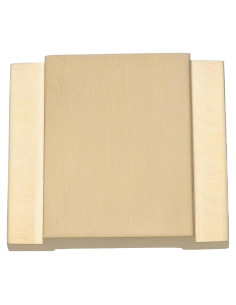 Protector de Zapata Fría eMagTech para Cámaras Pentax