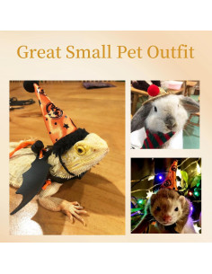 Conjunto de Disfraces para Reptiles YingXue 4 Pcs 2