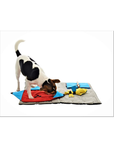 Kruuse Monedero con Tarea de Bolsillo para Alfombra BUSTER