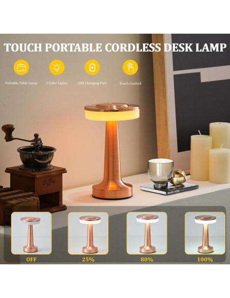 Lámpara de Mesa LED Portátil LSTVZSNRX Oro Rosa 3 Brillos