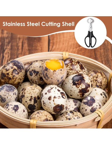 Tijeras para Cáscara de Huevo Galepromot - Acero Inoxidable Negro