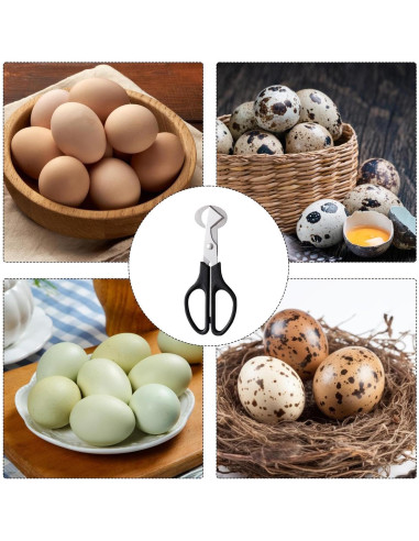Tijeras para Cáscara de Huevo Galepromot - Acero Inoxidable Negro