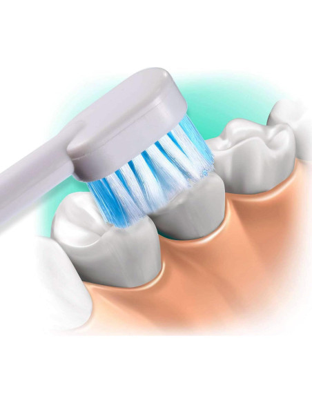 Consejos de Reemplazo Waterpik Aquarius - 6 Cabezal de Cepillo Consejos de Reemplazo Waterpik Aquarius - 6 Cabezal de Cepillo