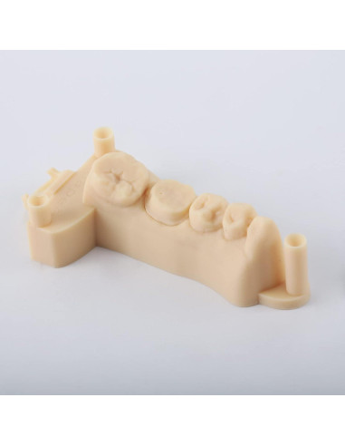 Resina 3D RESIONE D01S para Modelos Dentales - Alta Precisión