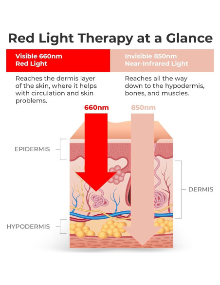 Lámpara de Terapia de Luz Roja LifePro 18 LEDs Alivio Dolor Lámpara de Terapia de Luz Roja LifePro 18 LEDs Alivio Dolor