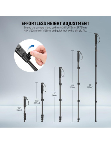 Caja de Luz de Estudio NEEWER 50W 20"x20" 192 LEDs 5600K