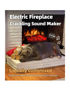 Máquina de Sonido Crepitante MSELTOS para Chimenea 2