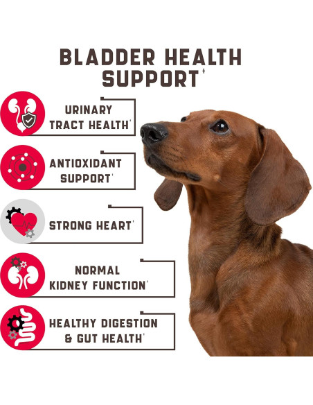 Masticables para UTI en Perros Kinpur 180g con Arándano