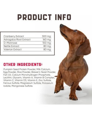 Masticables para UTI en Perros Kinpur 180g con Arándano