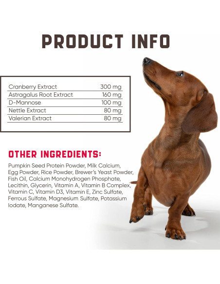 Masticables para UTI en Perros Kinpur 180g con Arándano