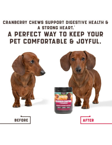 Masticables para UTI en Perros Kinpur 180g con Arándano