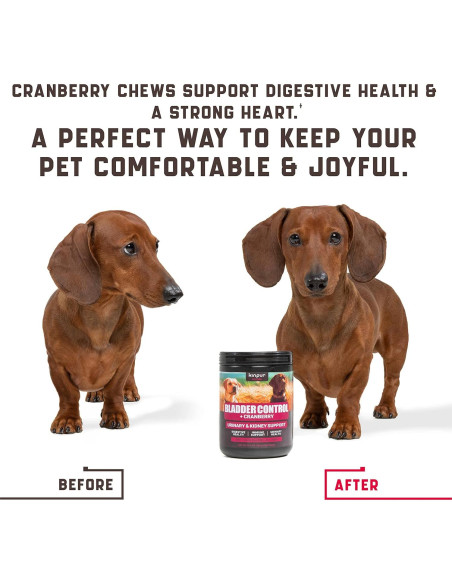 Masticables para UTI en Perros Kinpur 180g con Arándano