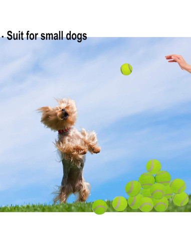 Pelotas de Tenis para Perros LUCKYERMORE 20 Mini 5,08 cm