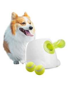 Lanzador Automático de Pelotas All For Paws - Perros