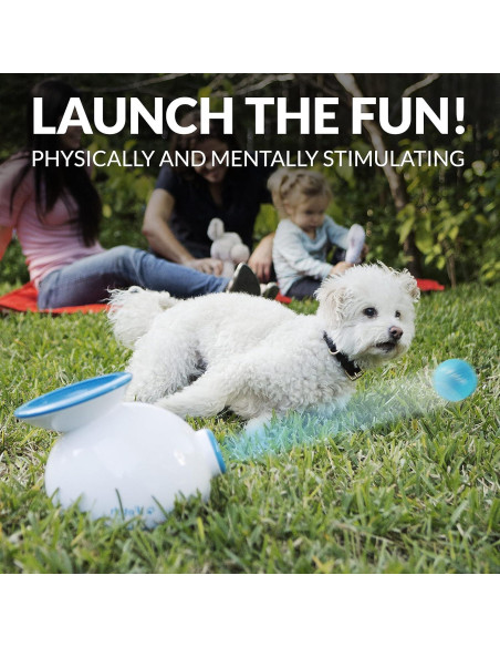 Lanzador Automático de Pelotas iFetch Mini para Perros