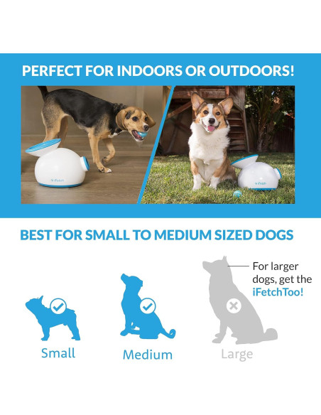 Lanzador Automático de Pelotas iFetch Mini para Perros