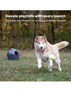 Lanzador Automático de Pelotas PetSafe, 2,13 m, Interactivo 2