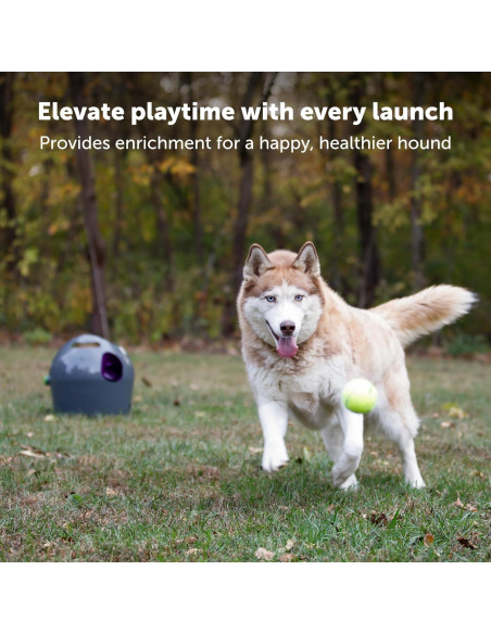 Lanzador Automático de Pelotas PetSafe, 2,13 m, Interactivo