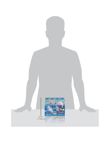 Baraja Campeonatos Mundiales Pokemon TCG Rikotu Ohashi 2022