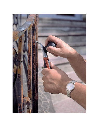 Raspador Bahco 665 Carburo Ergonómico 6,35 cm