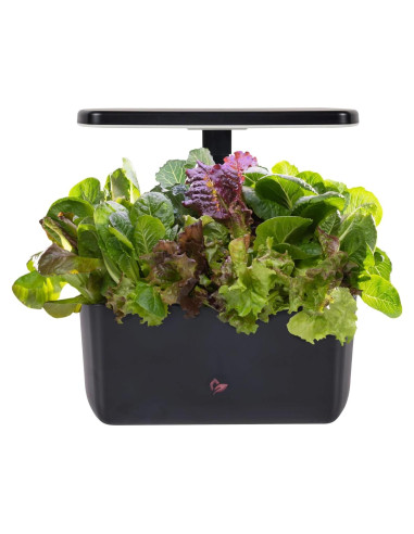 AeroGarden Harvest 2.0 Jardín Hidropónico 6 Cápsulas LED