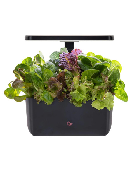 AeroGarden Harvest 2.0 Jardín Hidropónico 6 Cápsulas LED