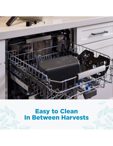 AeroGarden Harvest 2.0 Jardín Hidropónico 6 Cápsulas LED