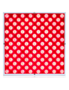 Panel de terapia LED roja Rhmip01 25x3cm para piel