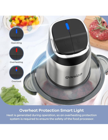 Procesador de Alimentos Ganiza GC10-S 2 Velocidades 8 Tazas