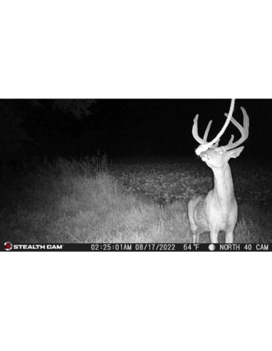 Cámara de Caza Inalámbrica Stealth Cam Fusion X 26 MP