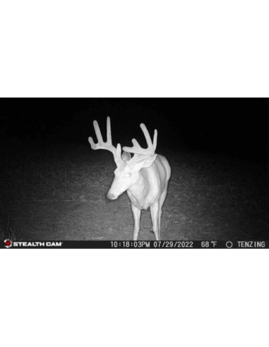 Cámara de Caza Inalámbrica Stealth Cam Fusion X 26 MP