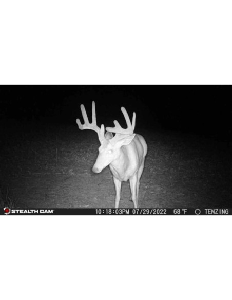 Cámara de Caza Inalámbrica Stealth Cam Fusion X 26 MP