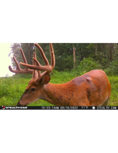 Cámara de Caza Inalámbrica Stealth Cam Fusion X 26 MP