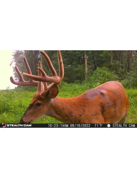 Cámara de Caza Inalámbrica Stealth Cam Fusion X 26 MP